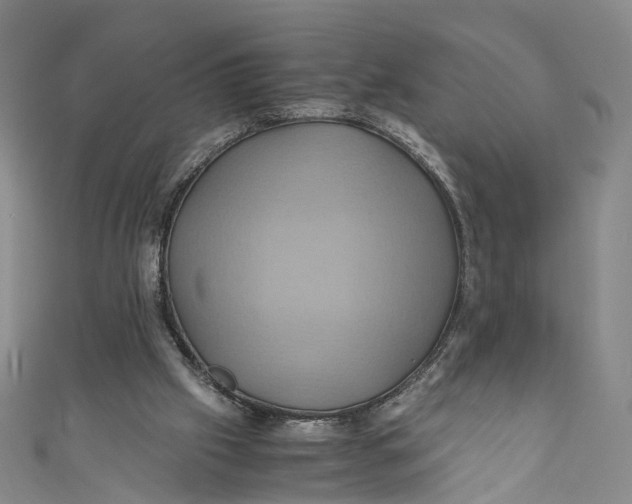 X0000110970057200907101357