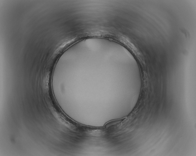 X0000110970058200907101357
