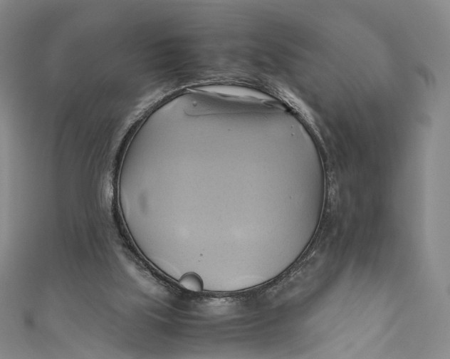 X0000110970059200907101357