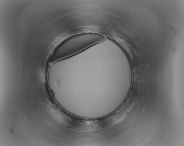 X0000110970060200907101357