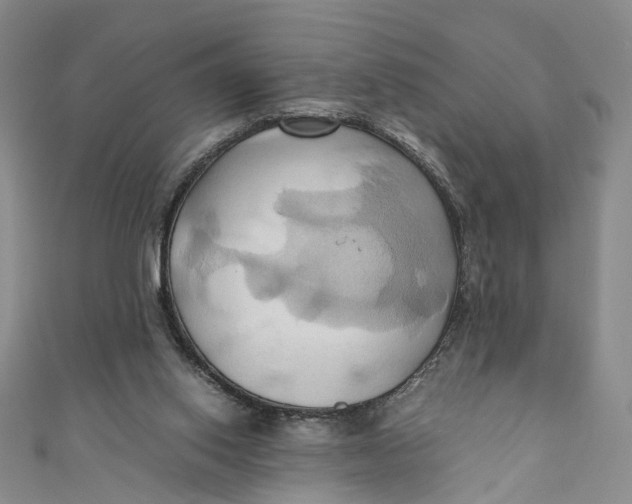 X0000110970062200907101357