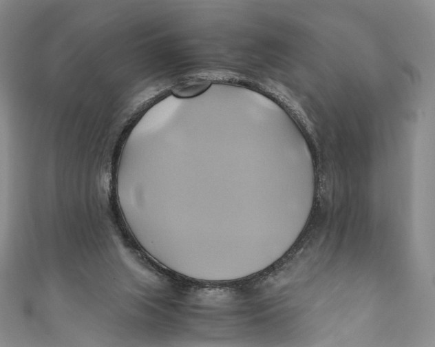 X0000110970063200907101357
