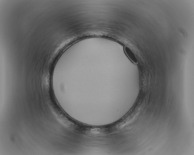 X0000110970064200907101357