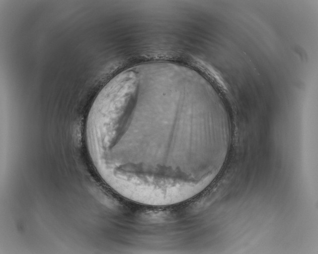 X0000110970065200907101357