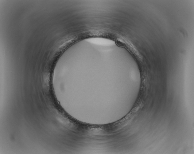 X0000110970066200907101357