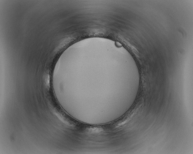X0000110970067200907101357