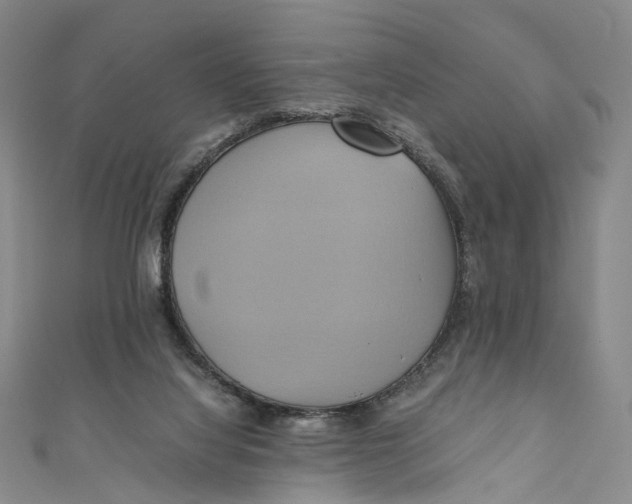 X0000110970068200907101357