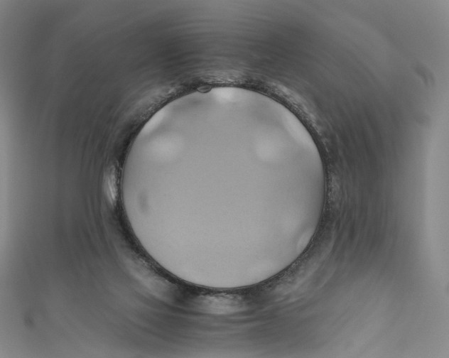 X0000110970069200907101357