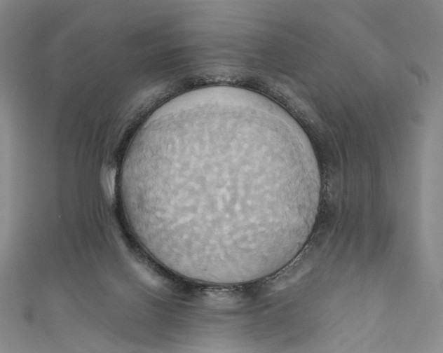 X0000110970070200907101357
