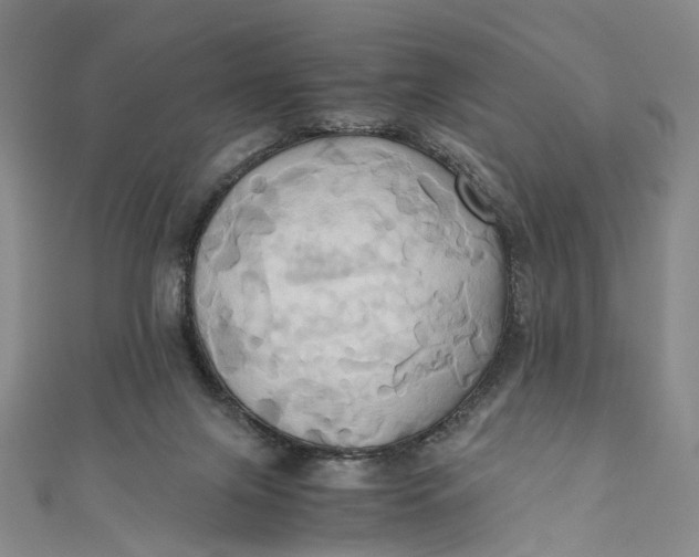X0000110970071200907101357