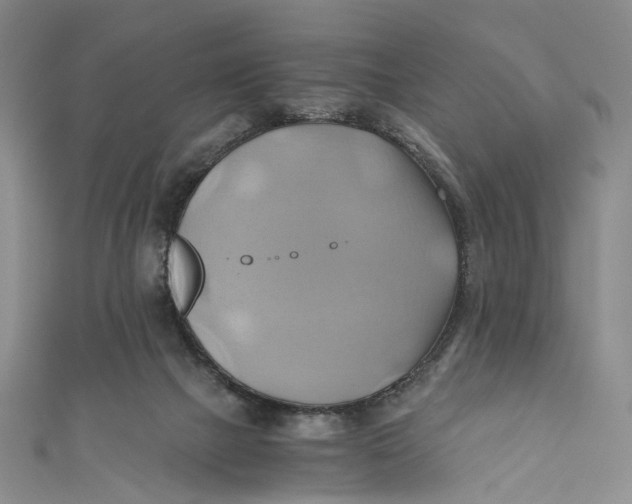X0000110970073200907101357