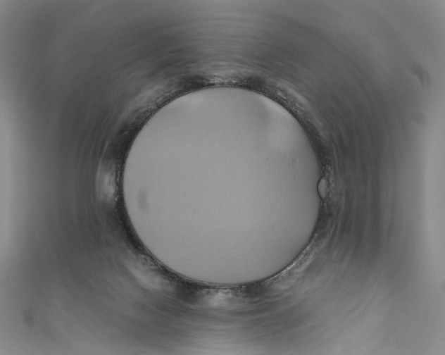 X0000110970074200907101357