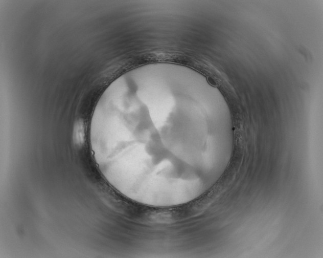 X0000110970075200907101357