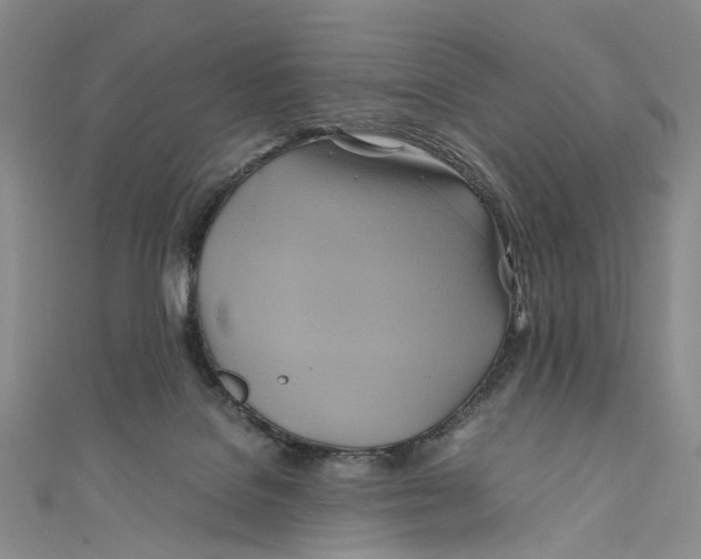 X0000110970076200907101357