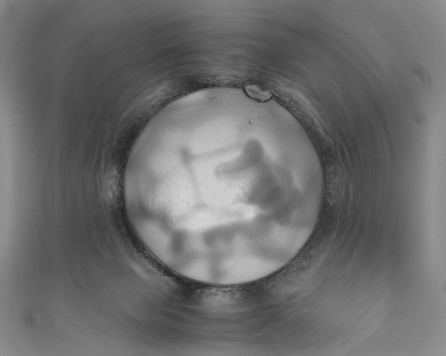 X0000110970077200907101357