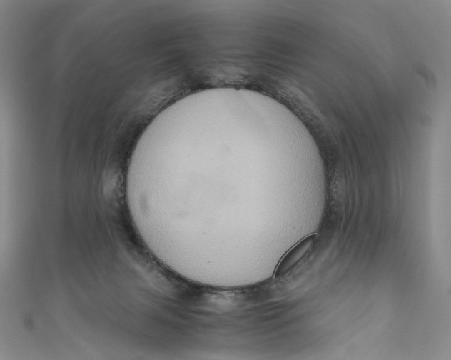 X0000110970079200907101357