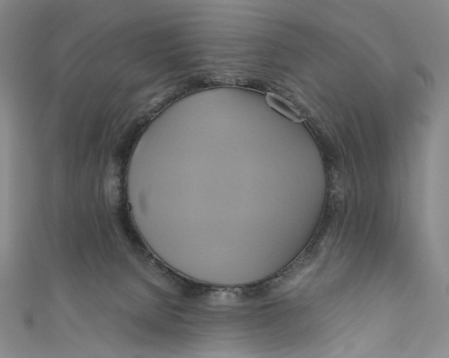 X0000110970080200907101357