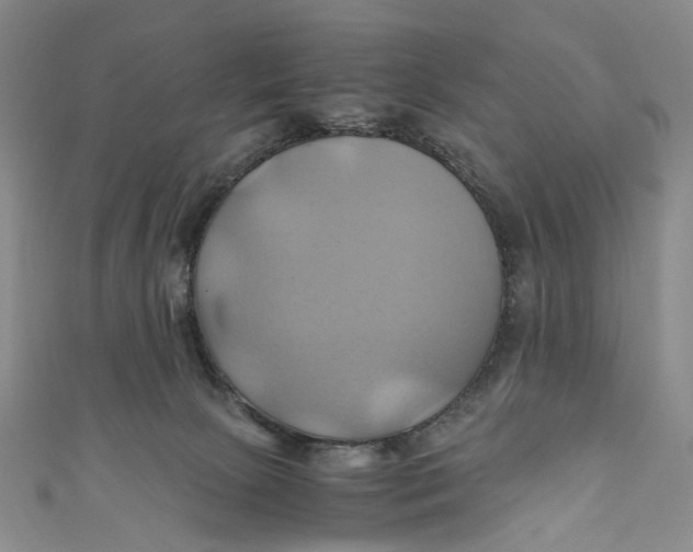 X0000110970081200907101357