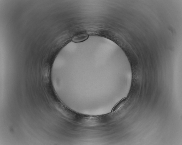 X0000110970082200907101357