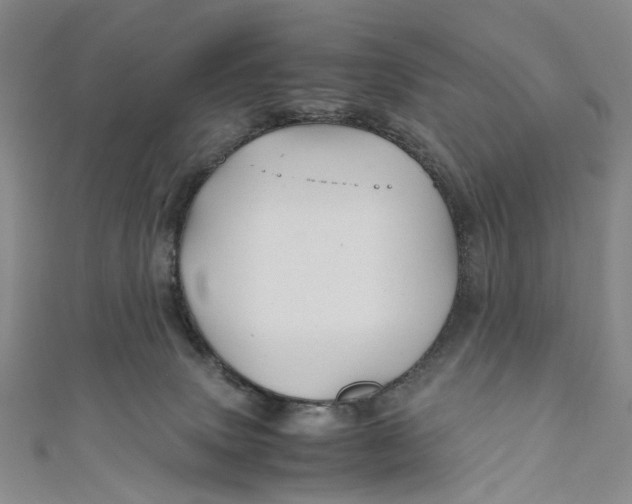 X0000110970083200907101357