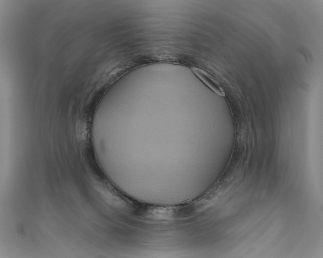 X0000110970084200907101357