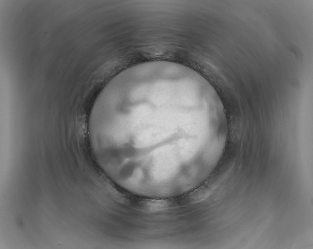 X0000110970085200907101357