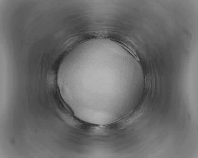 X0000110970092200907101357