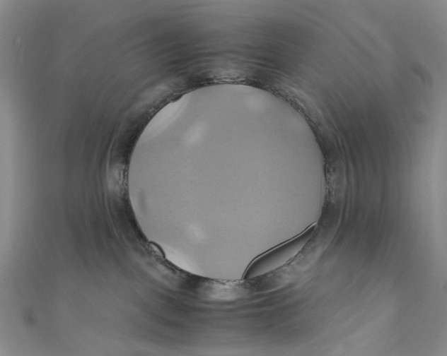 X0000110970093200907101357