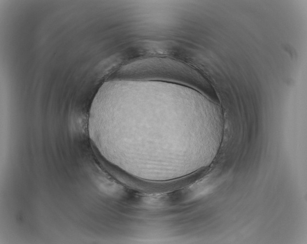 X0000110970096200907101357