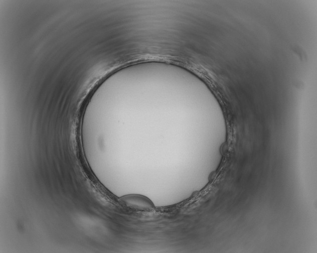X0000110970098200907101357