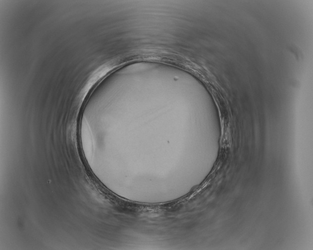 X0000110970099200907101357