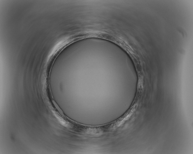 X0000110970101200907101357