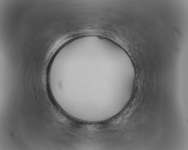 X0000110970103200907101357