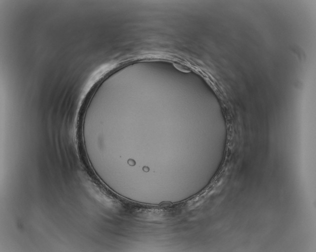 X0000110970104200907101357