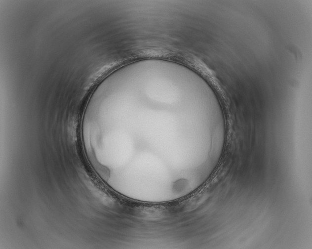 X0000110970106200907101357