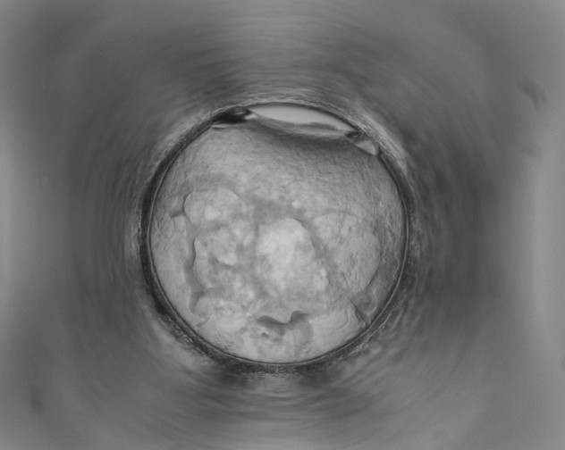 X0000110970107200907101357