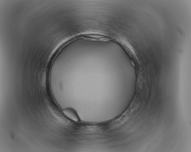 X0000110970108200907101357