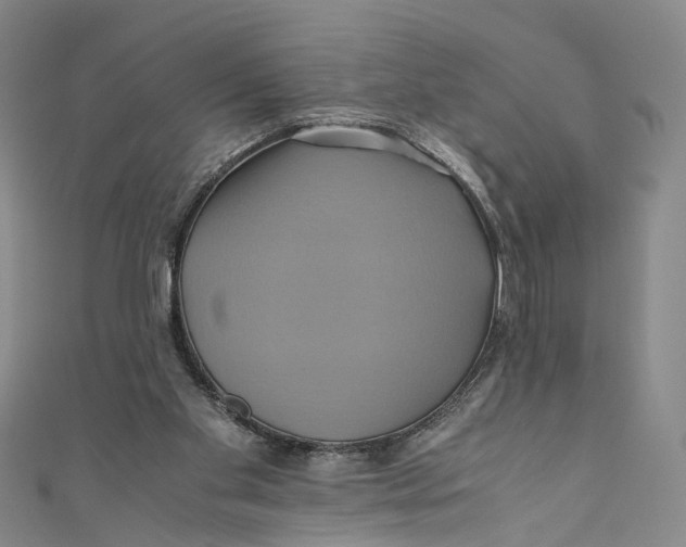 X0000110970109200907101357