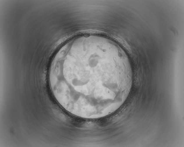 X0000110970111200907101357