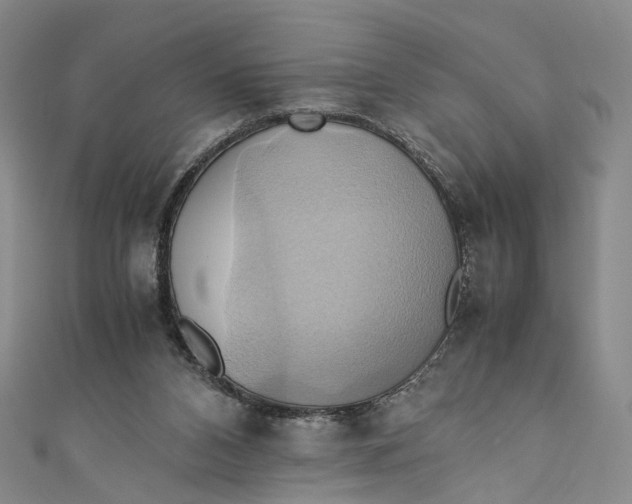 X0000110970112200907101357