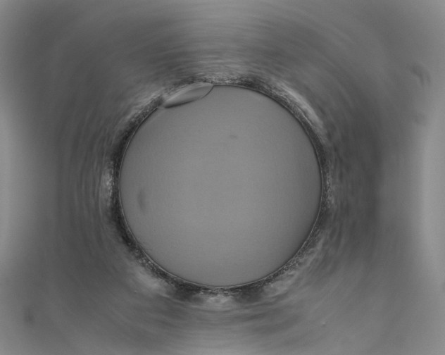 X0000110970113200907101356