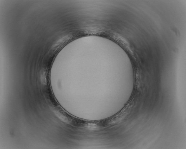 X0000110970114200907101356