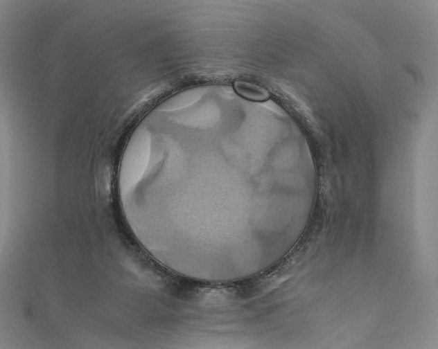 X0000110970115200907101356