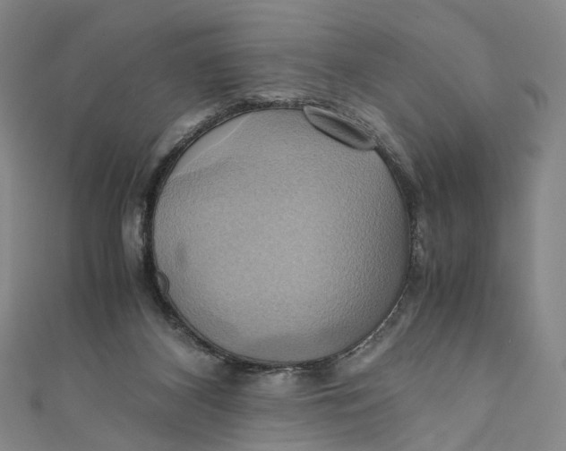 X0000110970116200907101356