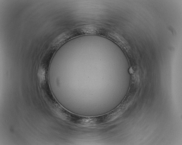 X0000110970117200907101356