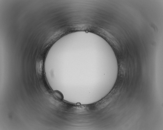 X0000110970118200907101356