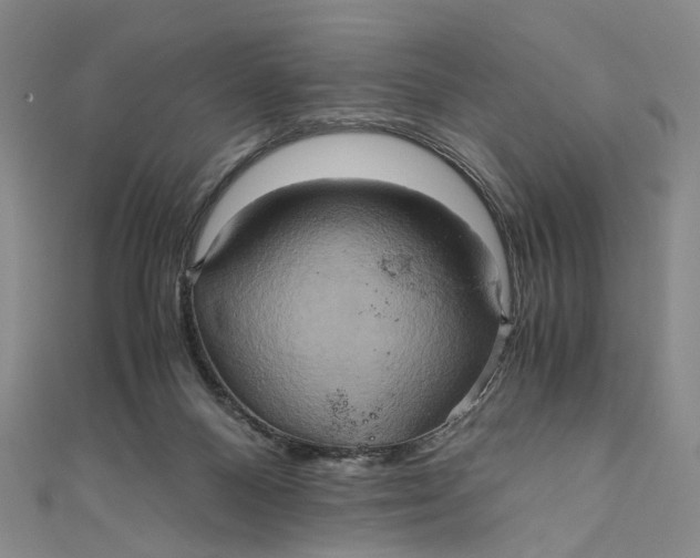 X0000110970120200907101356