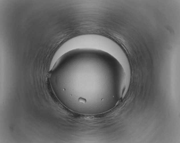 X0000110970121200907101356