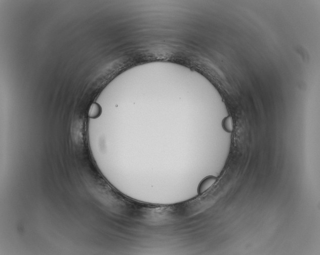 X0000110970122200907101356