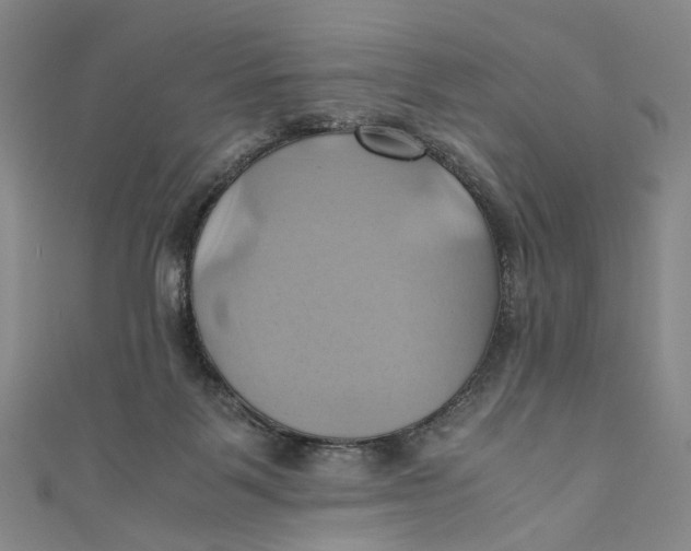X0000110970123200907101356